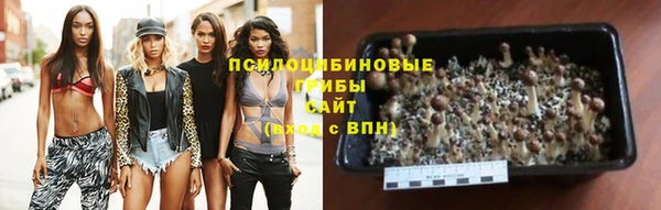 соль курить ск Богородск