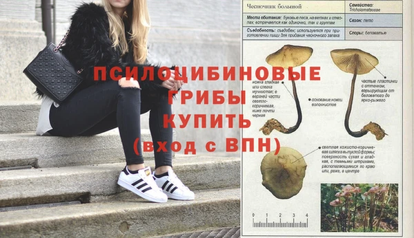 марки lsd Богданович