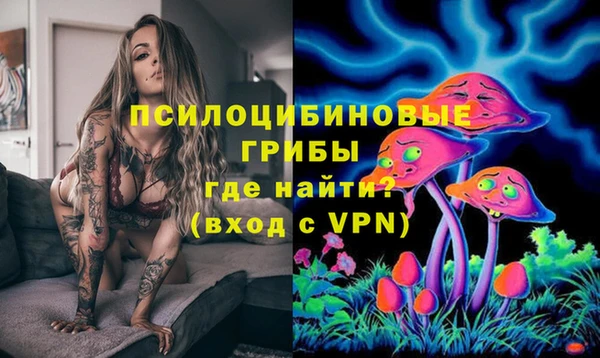 синтетический гашиш Богородицк