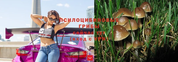 синтетический гашиш Богородицк